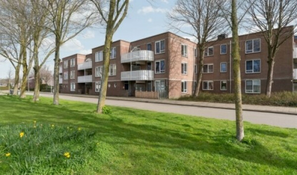 Kreekwaard